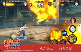 神秘忍者爆料视频下载,揭秘忍者世界背后的神秘面纱